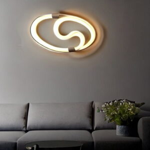 Contemporary LED Oval Wall Lighting Fixture